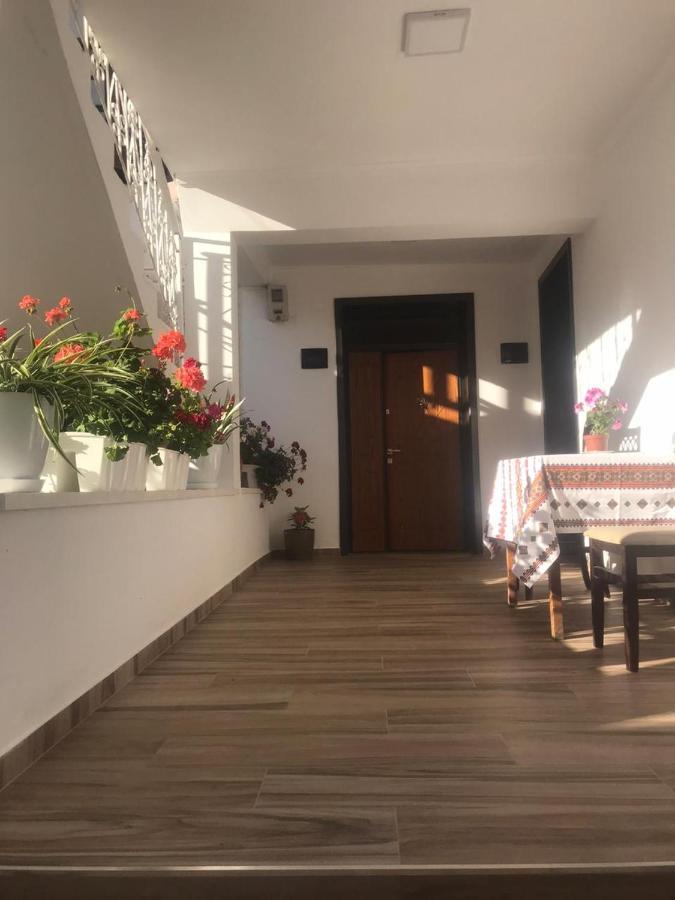 Apartment Koka Berat Bagian luar foto