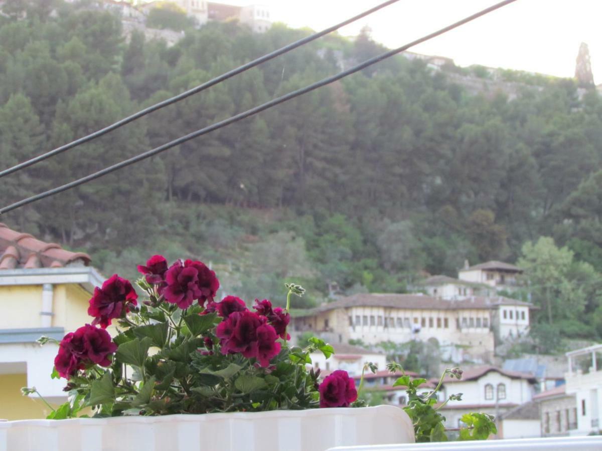 Apartment Koka Berat Bagian luar foto